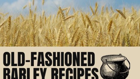 Old-Fashioned Barley Recipes collection featured image.