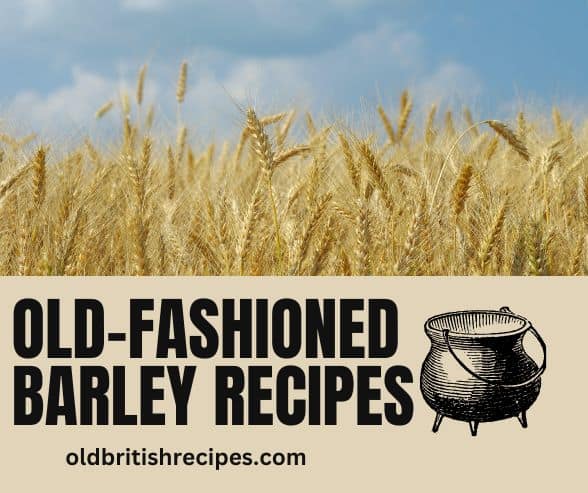 Old-Fashioned Barley Recipes collection featured image.