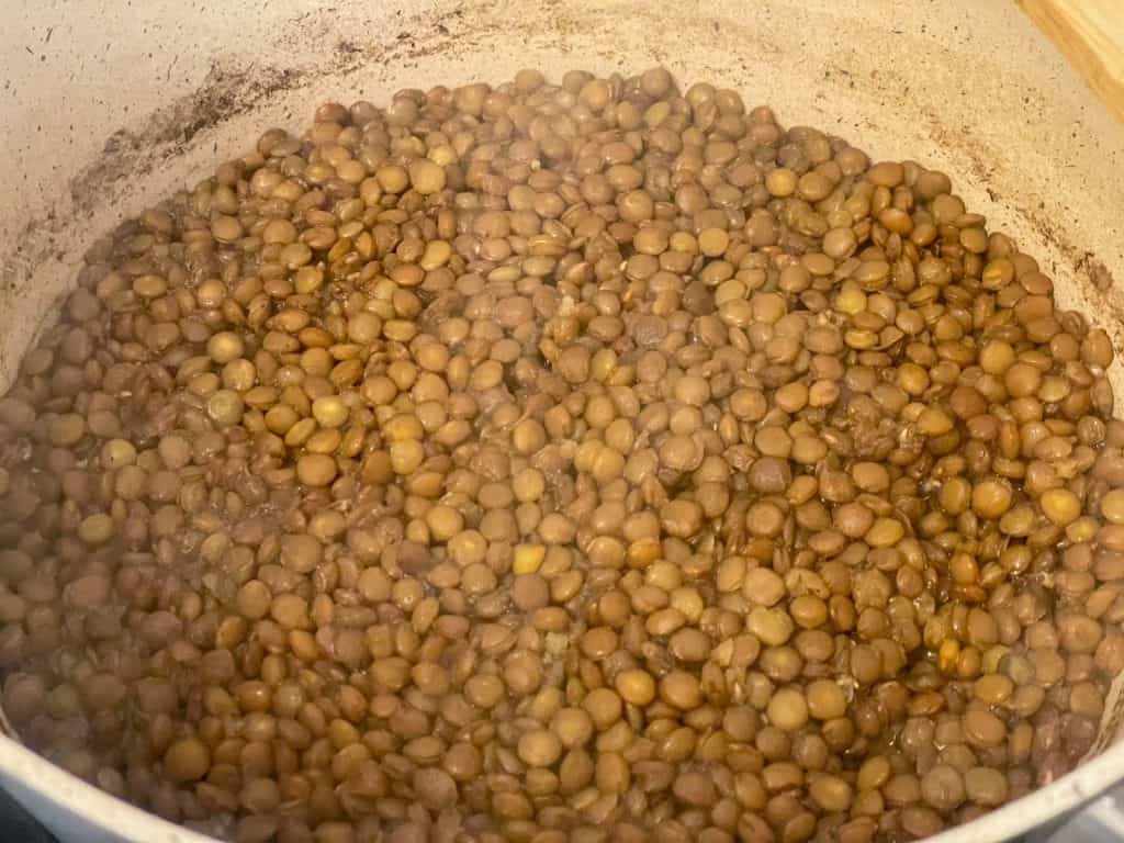 Green lentils cooked in saucepan.